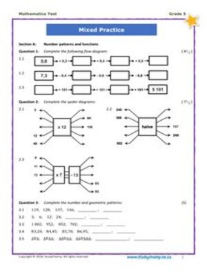 cover image of Grade 5 Maths Test: Mixed Skills Practice 1